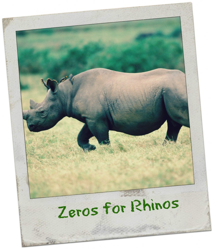 save the rhinos