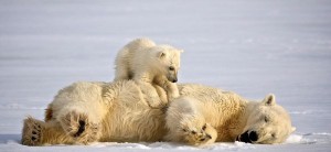 expedition cruise Hurtigruten